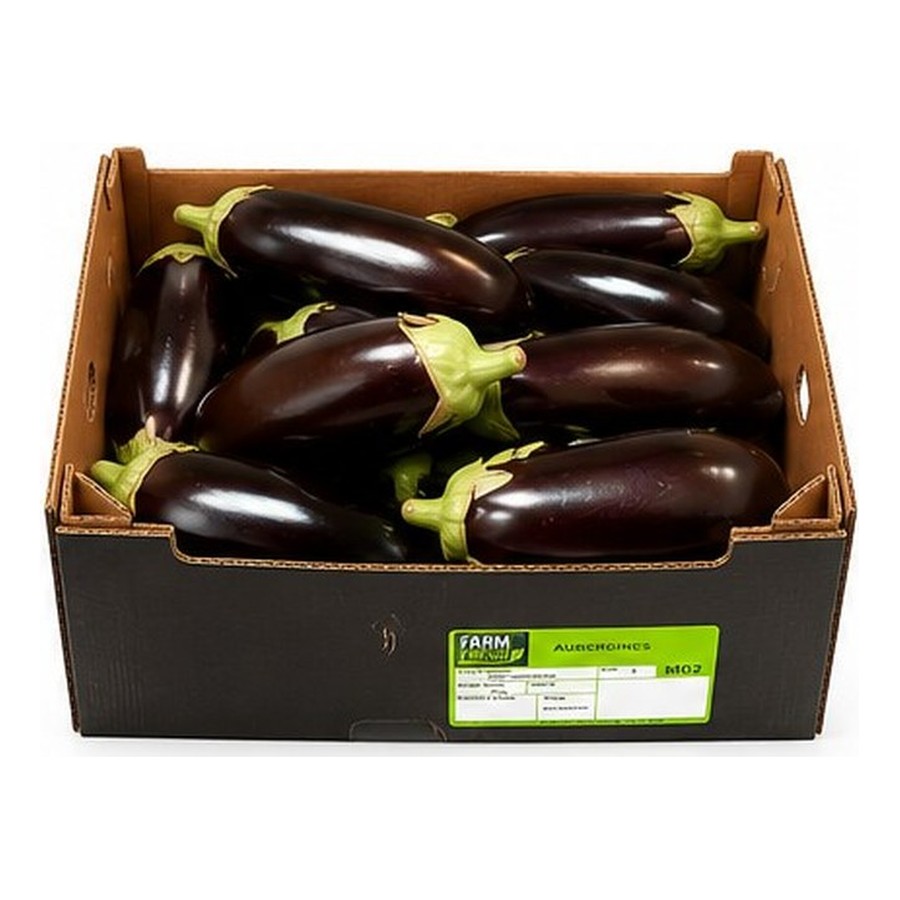 Aubergine — 5kg