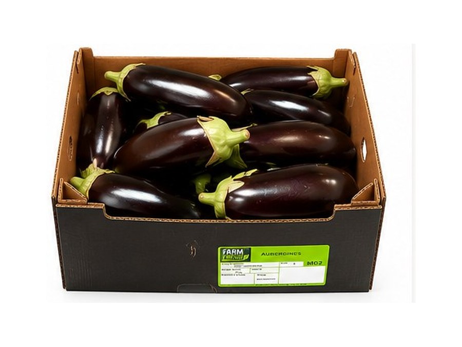 Aubergine — 5kg